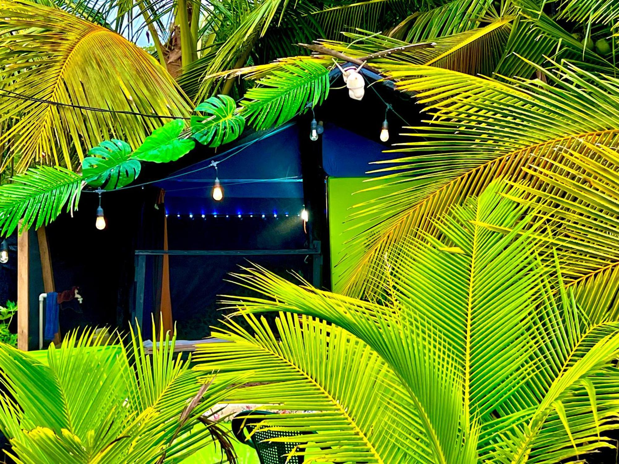 Beachfront Paradise Мануел Антонио Екстериор снимка